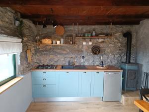 a kitchen with blue cabinets and a stove at Mrdina house in Kali