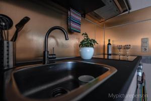 a kitchen sink with a potted plant on a counter at Ferienwohnung Elsa in Nideggen