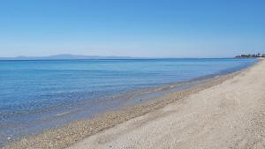 a beach with the ocean and the shoreline at Akrogiali Exclusive Hotel (Adults Only) in Polychrono