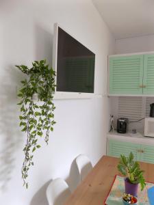 Kuchyň nebo kuchyňský kout v ubytování Your holidays apartment