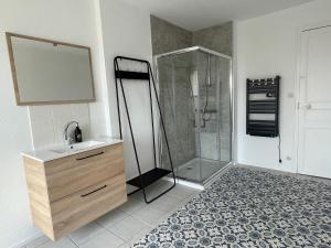 a bathroom with a shower and a sink at Les Lodges du Castel in Châteauvillain +36 photos