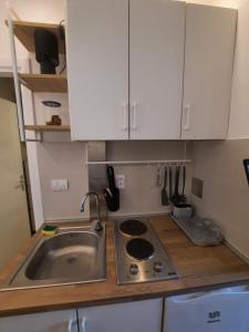 a kitchen with a sink and a counter top at Apartment Piccolo Ada in Belgrade