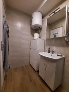 a bathroom with a sink and a mirror at Apartment Piccolo Ada in Belgrade