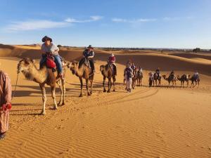 Horseback riding at the riad or nearby