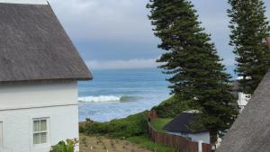 una casa blanca y un árbol junto al océano en Beachside in the heart of St Francis Bay Village, en St Francis Bay