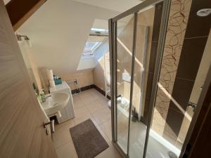 a bathroom with a shower and a sink at Apartmány Skryjova in Brno +24 photos