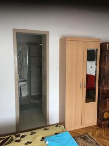 1 dormitorio con armario y puerta al baño en Dombi Porta, en Erdőbénye