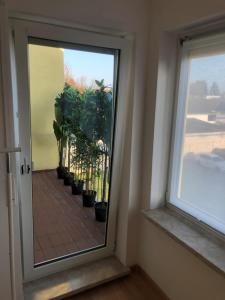 ein Fenster in einem Zimmer mit Pflanzen in Töpfen in der Unterkunft Monteurwohnung am Landgrafen in Worms
