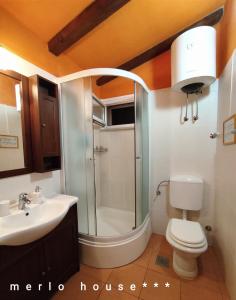 ein Bad mit einer Dusche, einem WC und einem Waschbecken in der Unterkunft Merlo House Dol Hvar in Stari Grad