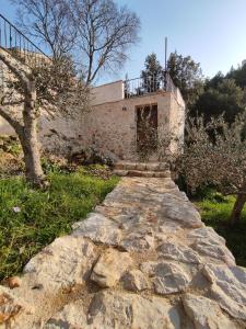 een stenen pad naar een gebouw bij Merlo House Dol Hvar in Stari Grad