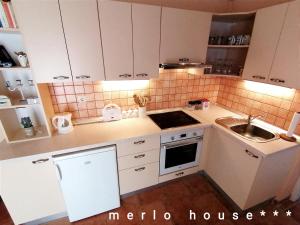 Kuchyňa alebo kuchynka v ubytovaní Merlo House Dol Hvar