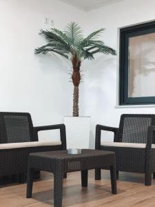 uma sala de estar com duas cadeiras e uma mesa e uma palmeira em Alojamento Amélie - Apartamento em Braga