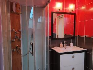 uma casa de banho com um lavatório, um espelho e um chuveiro em Un nid pour la nuit em Bransles