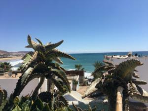 une vue sur une plage avec des palmiers et l'océan dans l'établissement Ocean Surf Lodge, à Taghazout