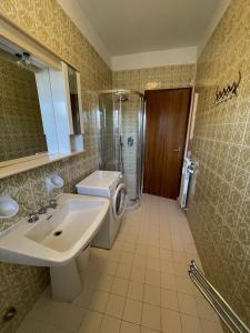 un bagno con lavandino, wc e doccia di Splendid Lake view a few steps from the Castle a Sirmione
