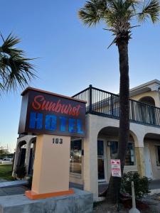 hotel Suntrust z palmą przed nim w obiekcie Sunburst Hotel w mieście Myrtle Beach