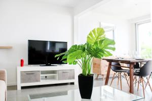 a living room with a tv and a table with a plant at Blue Vista - 1 bedroom condo in Nettle Bay in Marigot