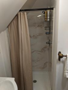 y baño con ducha, cortina y aseo. en The Avanti Houses, en South Bend