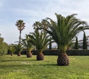 Jardí fora de Standing Presqu'île de la Lagune - Piscine - Mer & Nature