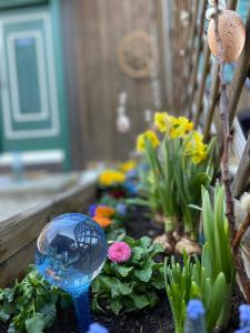 a miniature garden with a glass ball and flowers at s´Manz in Grundlsee