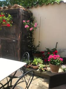 un patio con macetas, mesa y sillas en Affittacamere Is Coronas, en Ìsili