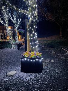 a tree with lights and flowers in a pot at Bluebell lodge in Fort William