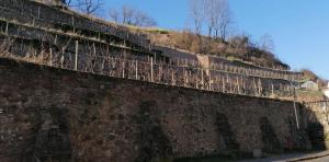 een oude bakstenen muur met bomen erop bij City Apartment #1 bei der Porzellan Manufaktur in Meißen