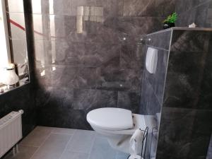 een badkamer met een toilet en een zwart betegelde muur bij City Apartment #1 bei der Porzellan Manufaktur in Meißen +6 foto's
