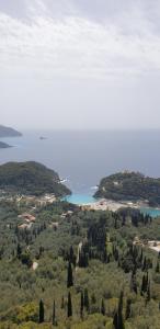 Fotografie z fotogalerie ubytování Corfu Elpis Apartments v destinaci Ipsos