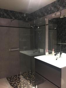 a bathroom with a shower and a sink and a tub at Les Charmilles in Quettehou