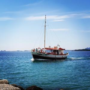 Fotografie z fotogalerie ubytování Corfu Elpis Apartments v destinaci Ipsos
