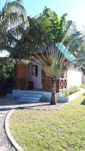 a palm tree in front of a house at CASE CREOLE INDEPENDANTE PROCHE MER in La Gaulette