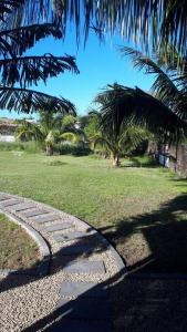 a walkway with palm trees and a field of grass at CASE CREOLE INDEPENDANTE PROCHE MER in La Gaulette