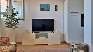 Televízia a/alebo spoločenská miestnosť v ubytovaní Apartment Lada
