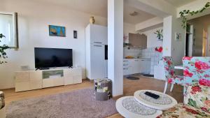 Televízia a/alebo spoločenská miestnosť v ubytovaní Apartment Lada