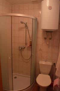 a bathroom with a shower and a toilet at Viesu nams Pūpoli in Dundaga