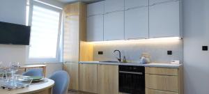 Kuchyň nebo kuchyňský kout v ubytování Apartament Botanika