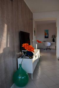 TV a/nebo společenská místnost v ubytování NOVIGRAD BOUTIQUE APARTMENT