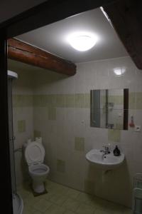 a bathroom with a toilet and a sink at Pension Hejnice in Hejnice