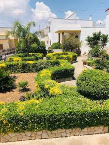 a garden with bushes and yellow flowers in front of a building at Villa“La Salentina” in Castrignano del Capo