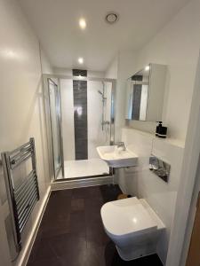 une salle de bain avec toilettes, lavabo et douche dans l'établissement 2 Bedroom, 2 Bathroom Modern Apartment close to Ocean Village, Free parking, Single or Double beds, à Southampton