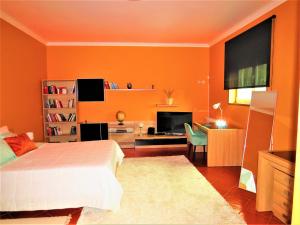 a bedroom with a bed and a desk and a tv at Anjos’home in Viana do Castelo