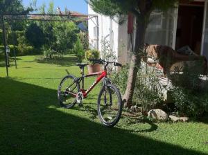a bike parked in the grass next to a house at A Villa For only 90 day and more days in Antalya
