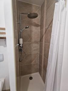 y baño con ducha con cabezal de ducha. en Les Rauches - Quai Loire - Suite 2 Chambres, en Châteauneuf-sur-Loire