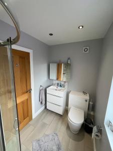 a small bathroom with a toilet and a shower at The Homestead House in Doncaster