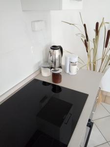 Kuchyň nebo kuchyňský kout v ubytování Studio apartman KIKA