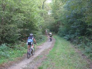 Hosté ubytování Camping Porte des Vosges