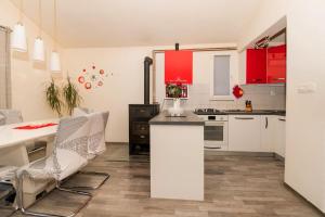 Kuchyň nebo kuchyňský kout v ubytování Apartments Anita Tribunj