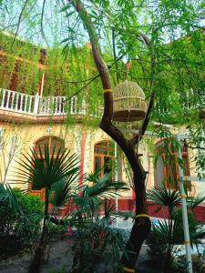 a building with a tree in front of it at Hotel Rahmon in Samarkand