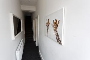 zwei Giraffen an einer Wand in einem Raum in der Unterkunft Beamont House in Warrington